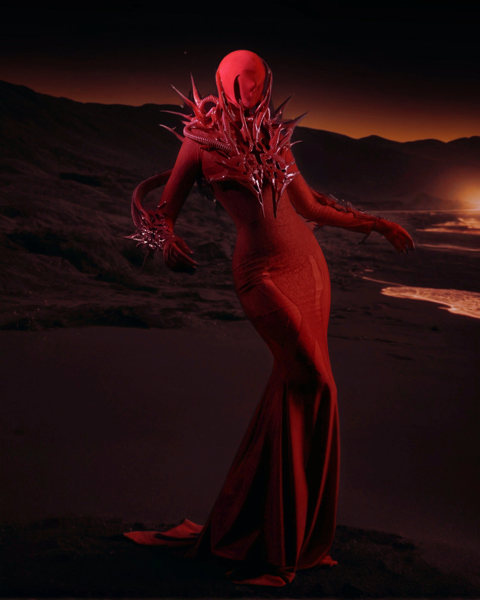 DISCOVER THE FULL COLLECTIONS