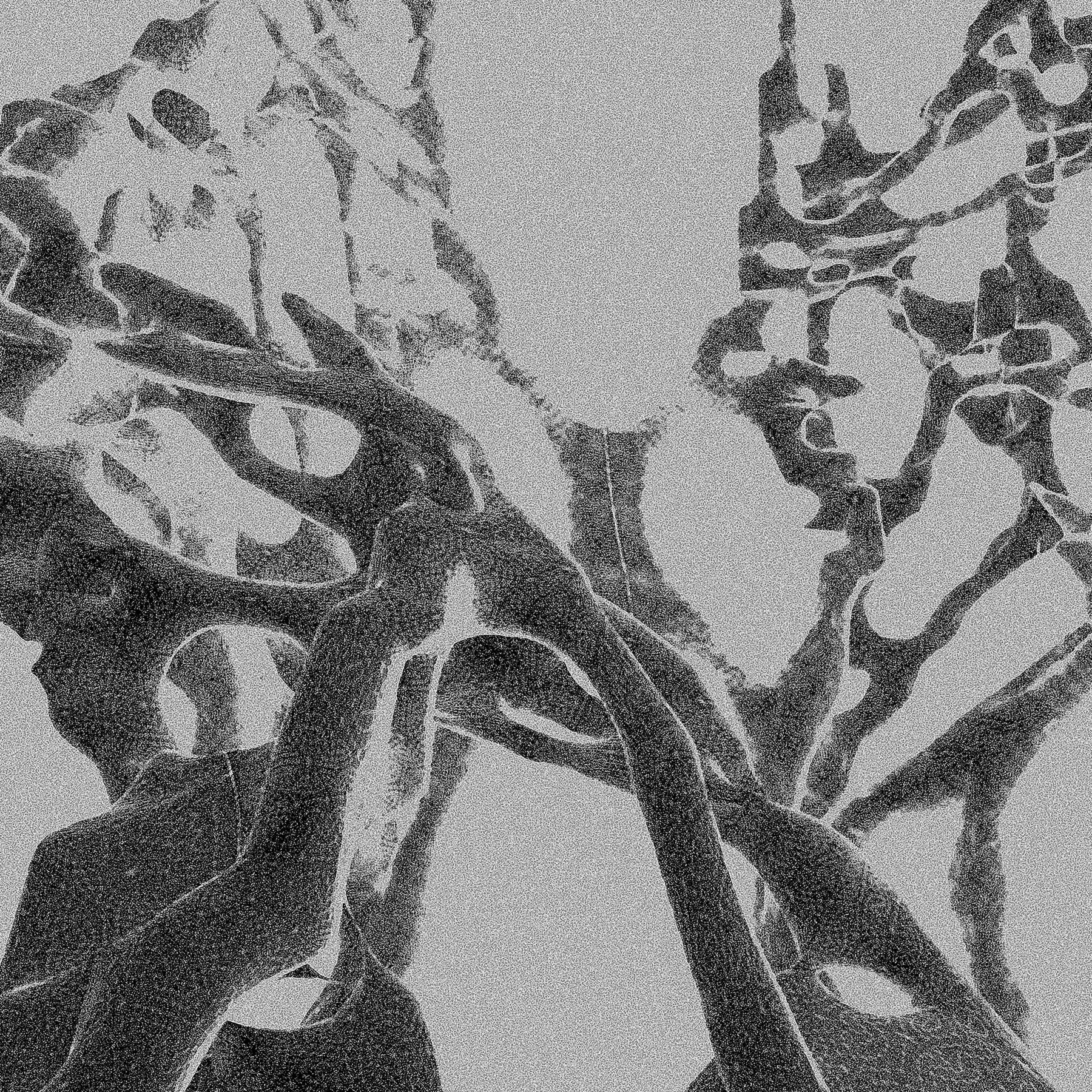 'AUGMENTED VIRTUALITY'